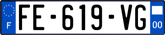 FE-619-VG