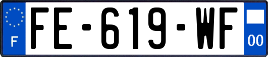FE-619-WF