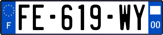 FE-619-WY