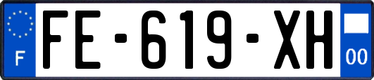 FE-619-XH