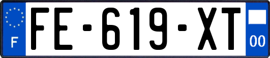 FE-619-XT