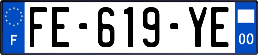 FE-619-YE