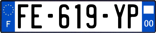 FE-619-YP