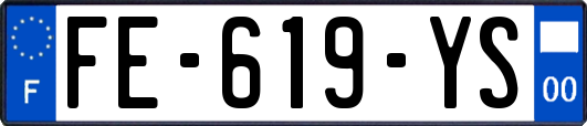 FE-619-YS