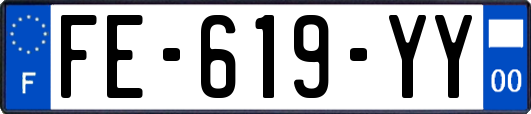 FE-619-YY