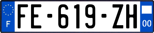 FE-619-ZH