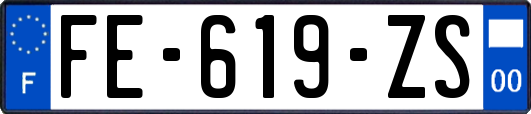 FE-619-ZS