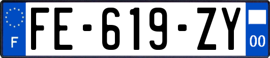 FE-619-ZY