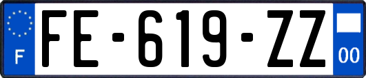 FE-619-ZZ