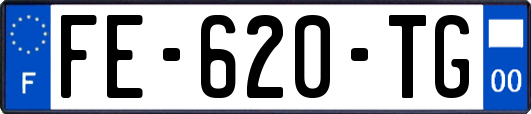 FE-620-TG