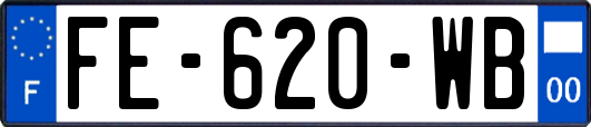 FE-620-WB
