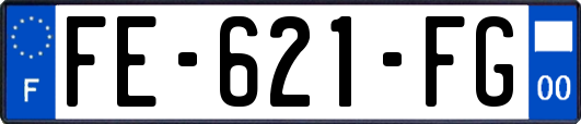 FE-621-FG