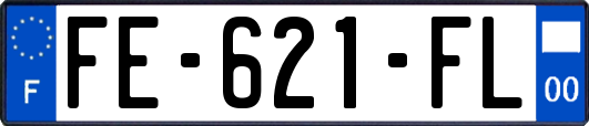 FE-621-FL