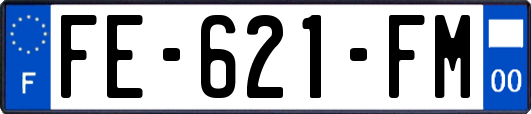FE-621-FM