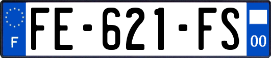 FE-621-FS
