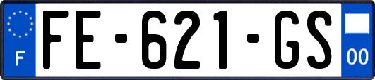 FE-621-GS