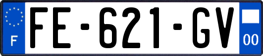 FE-621-GV
