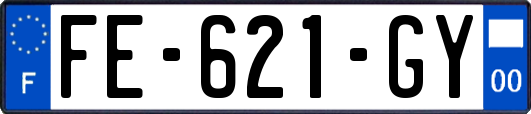 FE-621-GY