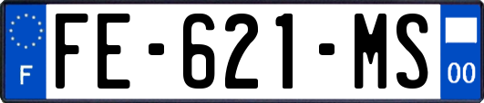 FE-621-MS