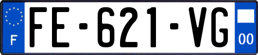 FE-621-VG