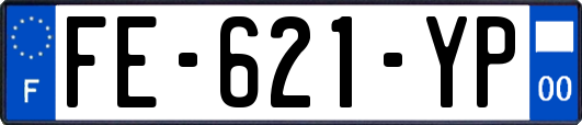 FE-621-YP