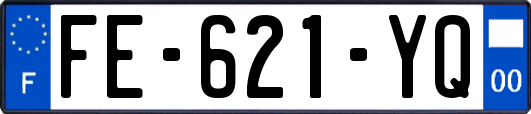 FE-621-YQ