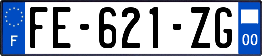 FE-621-ZG