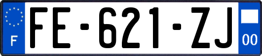 FE-621-ZJ