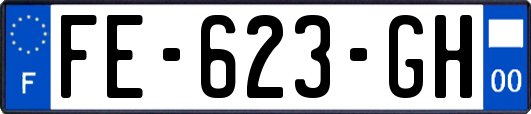 FE-623-GH