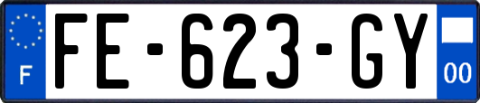 FE-623-GY