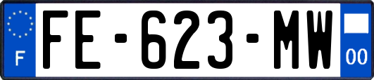 FE-623-MW