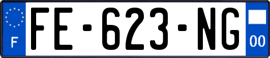 FE-623-NG