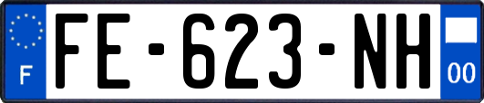 FE-623-NH