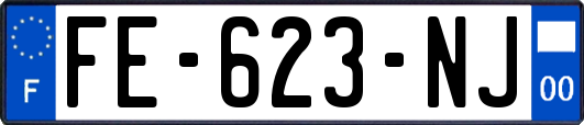 FE-623-NJ
