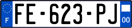 FE-623-PJ