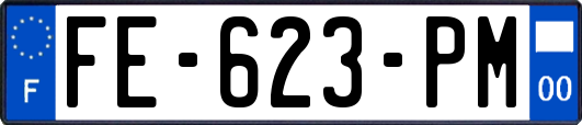 FE-623-PM