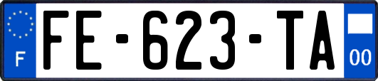 FE-623-TA