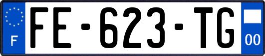 FE-623-TG