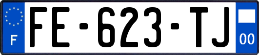 FE-623-TJ
