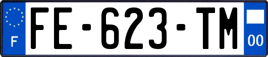 FE-623-TM