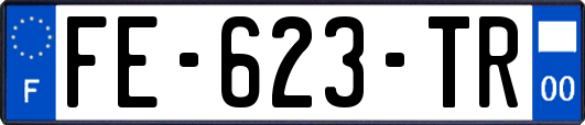 FE-623-TR