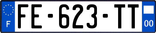 FE-623-TT