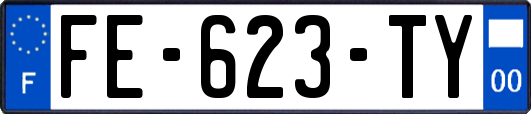 FE-623-TY