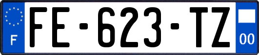 FE-623-TZ