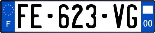 FE-623-VG