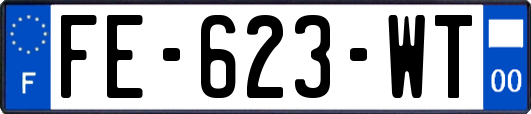 FE-623-WT