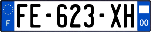 FE-623-XH