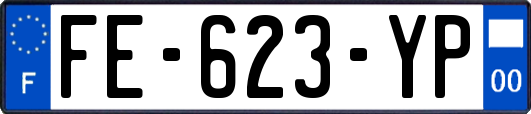 FE-623-YP