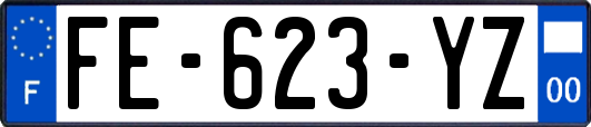 FE-623-YZ
