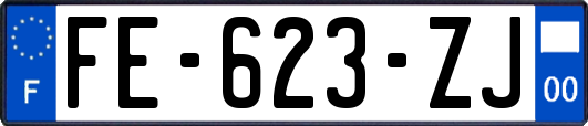 FE-623-ZJ